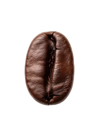 Imagen PNG para descargar